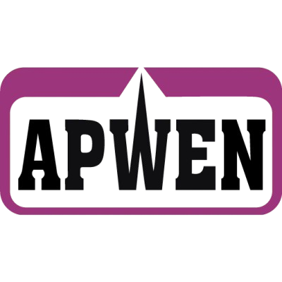 Apwen Association Of Professional Women Engineers Of Nigeria Removebg Preview